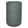 LACPLNTS25_Grey_1